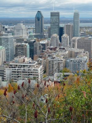 Montreal vom Mont Royal
