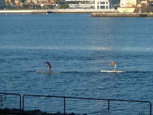 P1070204_DxO_San_Diego_Coronado_Island_Resort_Paddler_Forum.jpg