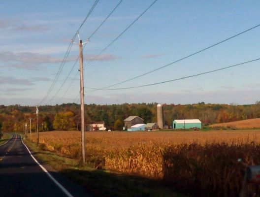 Farm an der Chapman Corners Rd
