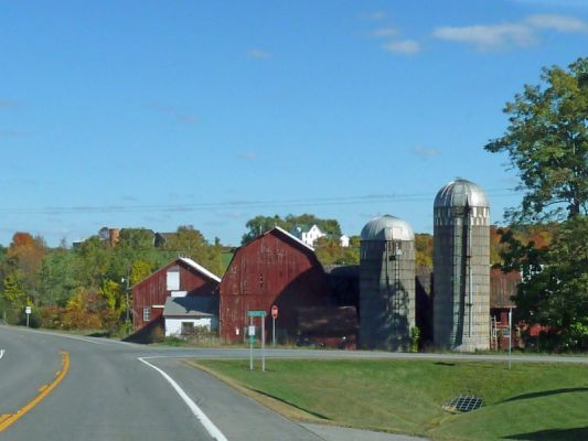 NY 436 Farm
