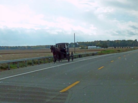 Amish Kutsche bei Penn Yan
