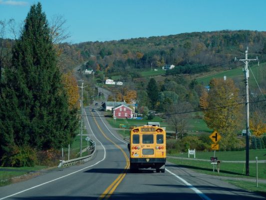 Triangle NY
