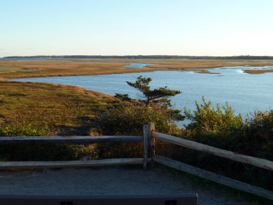 Cape Cod Nauset Marsh
