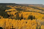 Grand Mesa