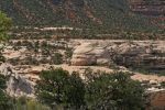 Narural Bridges