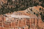 Bryce Canyon Alligator