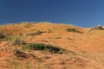 Coral Pink Sand Dunes