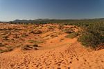 Coral Pink Sand Dunes