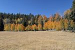 Kaibab Plateau