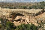 Mesa Verde Oak Tree House