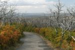 Mesa Verde Herbst im Waldbrandgebiet