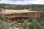 Mesa Verde Spruce Tree House