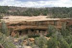 Mesa Verde Spruce Tree House