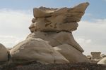 Bisti West Rat
