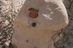 Bisti West Einschluß