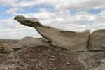 Bisti West
