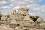 Bisti West Flying Pig