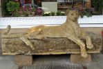Santa Fe Mountain Lion Bank