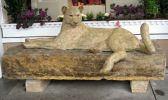 Santa Fe Mountain Lion Bank