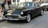 Denver T-Bird