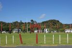 DSC01059 Paihia Te Karuwha Parade_k