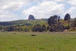 DSC01403 Hwy 12 Landschaft nach Dargaville_k