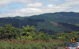 DSC01573 Landschaft am Hwy 25 Tairua Whitianga Rd_k