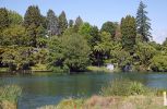 DSC01730 Lake Rotoiti Okorere Inlet_k