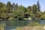 DSC01730 Lake Rotoiti Okorere Inlet_k