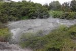 DSC01792 Te Puia Mud Pool_k