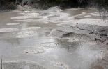 DSC01829 Waiotapu Mud Pool_k