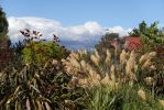 DSC01937 Ohakune Mt Ruapehu_k