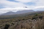 DSC01972 Taranaki Falls Trail Mt Ngauruhoe_k
