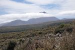 DSC01972_Taranaki_Falls_Trail_Mt_Ngauruhoe_k.jpg