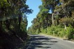 DSC02028 Ohakune Mountain Road_k