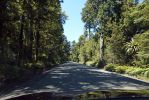 DSC02033 Ohakune Mountain Road_k