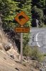 DSC02057a Ohakune Mountain Road Kiwi Warnschild_k