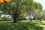 DSC02251_Havelock_North_Birdwoods_Park_k.jpg