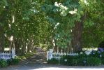 DSC02282 Havelock North Arapata Lodge Allee_k