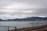 DSC02375_Wellington_k.jpg