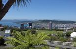 DSC02530 Wellington von Bergstation_k