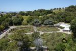 DSC02561 Wellington Botanischer Garten Rosengarten_k