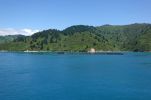 DSC02659 Queen Charlotte Sound Austernbänke_k