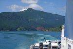 DSC02673 Queen Charlotte Sound_k