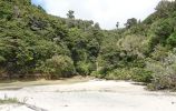 DSC02805_Abel_Tasman_NP_Medlands_Beach_k.jpg