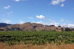 DSC02860_Winery_am_Hwy_6_bei_Hope_k.jpg