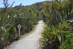 DSC02899_Cape_Foulwind_Walkway_k.jpg