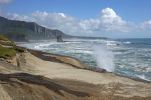 DSC02979_Paparoa_NP_Truman_Track_Strand_k.jpg