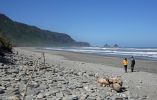 DSC03090_Motukiekie_Beach_k.jpg