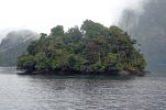 DSC03811 Doubtful Sound Insel_k